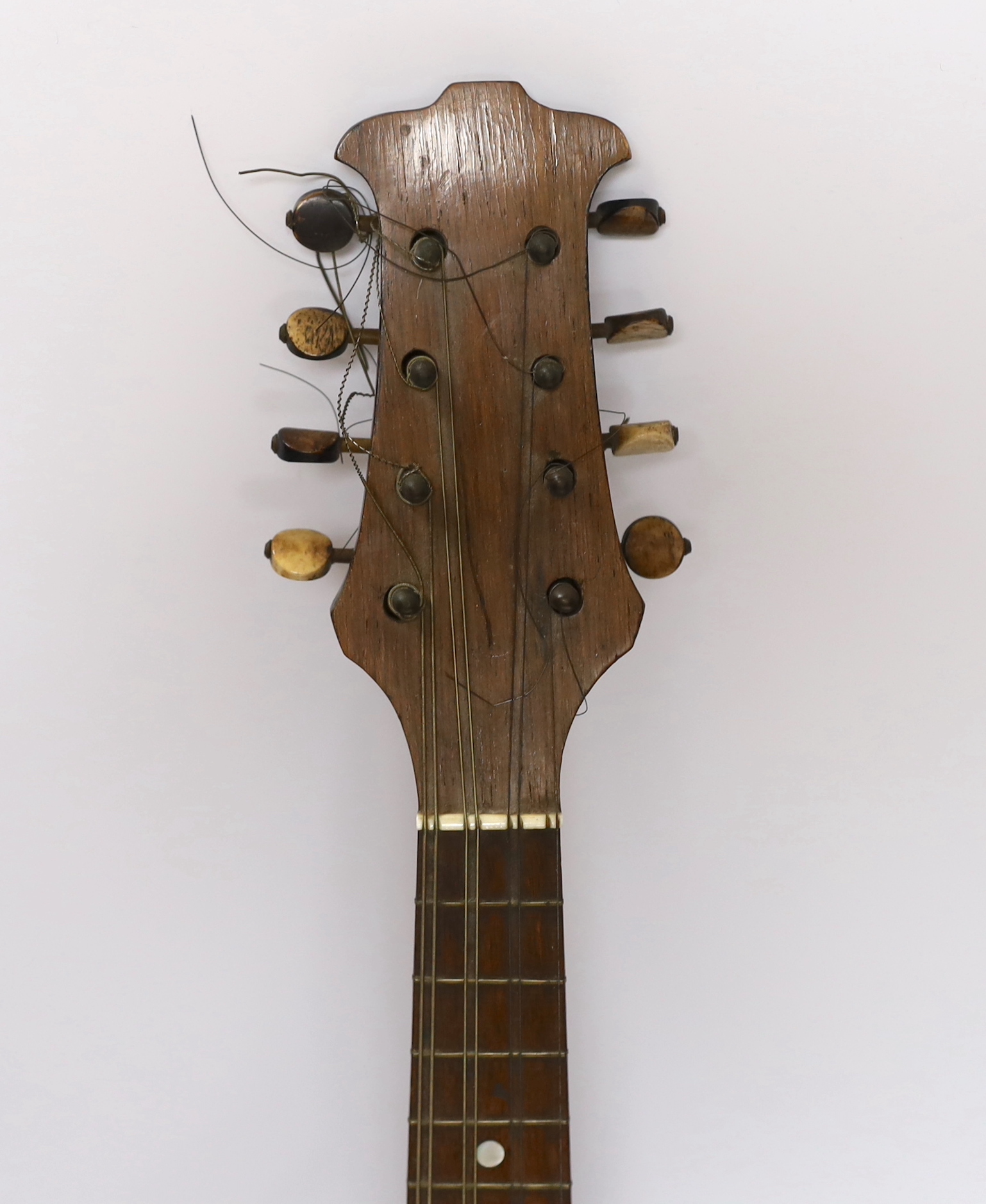 A Fratelli Hasermann, Napoli, mandolin, early 20th century